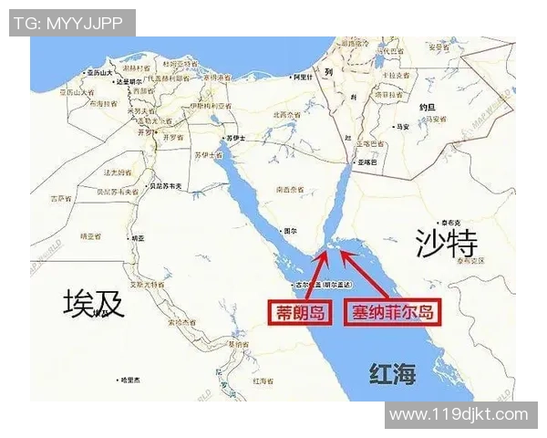 沙特与埃及足球对决分析及彩票投注指南全攻略